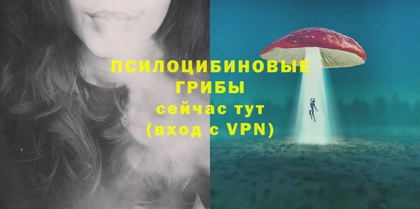дмт Касимов