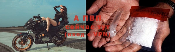 дмт Касимов