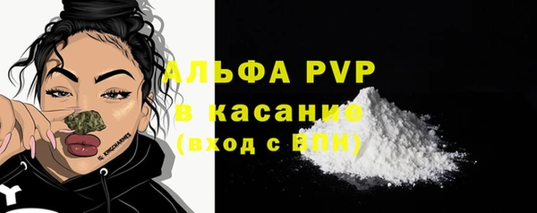 дмт Касимов