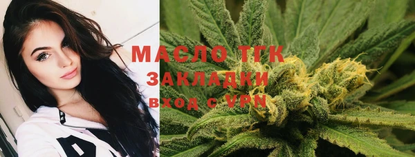 дмт Касимов