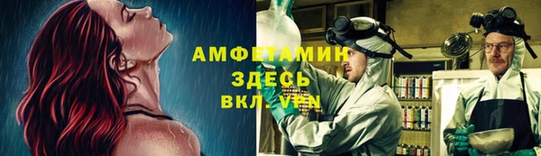 дмт Касимов