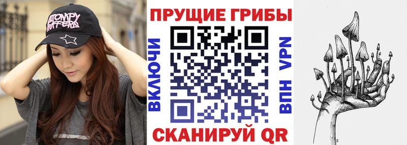 сайты даркнета официальный сайт  Сургут  Галлюциногенные грибы Psilocybe 