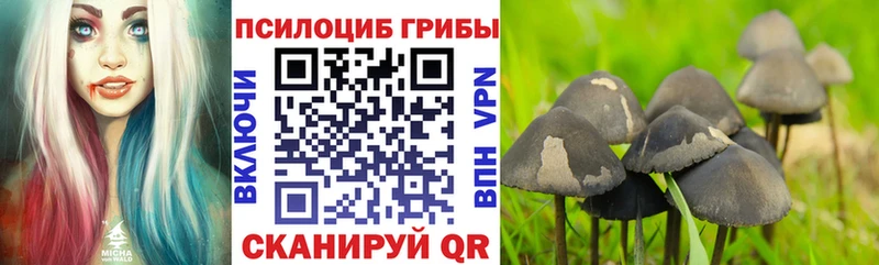 Псилоцибиновые грибы MAGIC MUSHROOMS Сургут