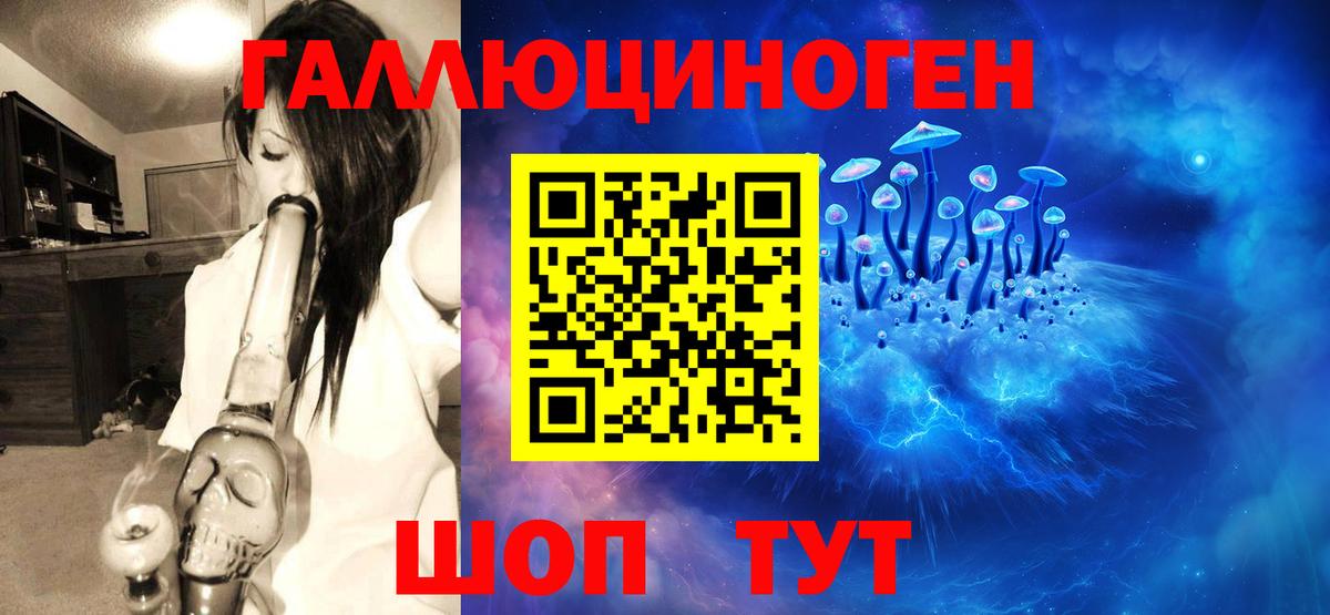 Псилоцибиновые грибы Psilocybe Сургут