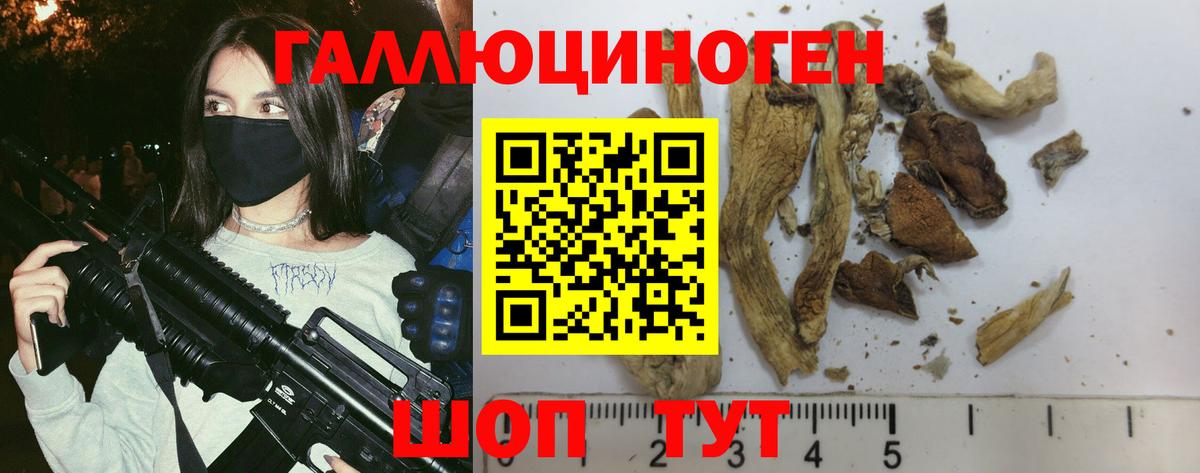 Галлюциногенные грибы Cubensis Сургут