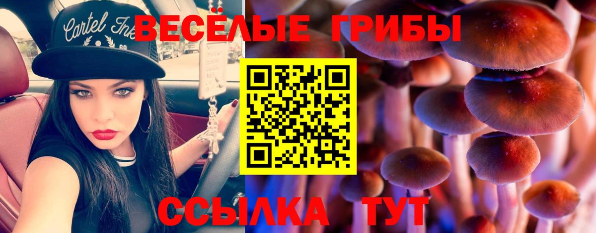 Псилоцибиновые грибы Magic Shrooms  Вход с VPN  Сургут 